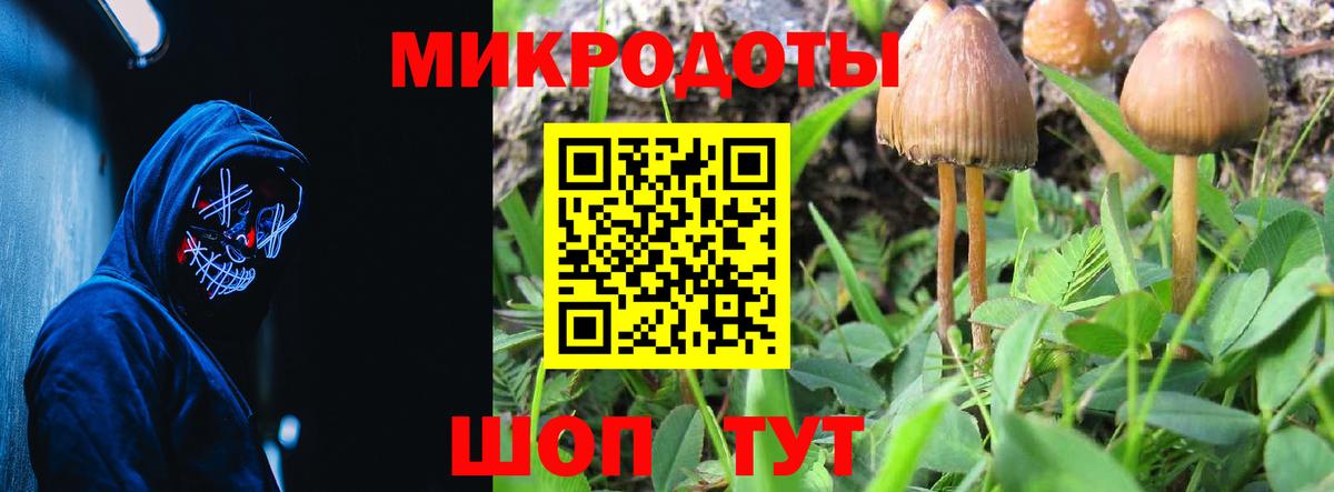 закладка  Вход с VPN  Ртищево  Галлюциногенные грибы мухоморы 